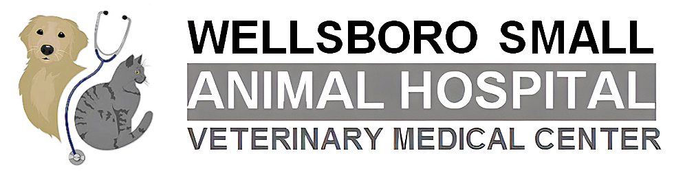 Wellsboro Small Animal Hospital - Veterinarian In Middlebury Center, PA USA